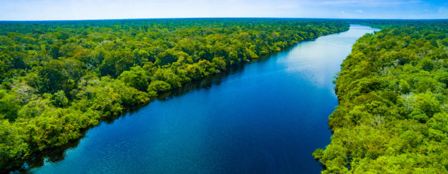 amazon river | RM Warner Inernet Law Firm
