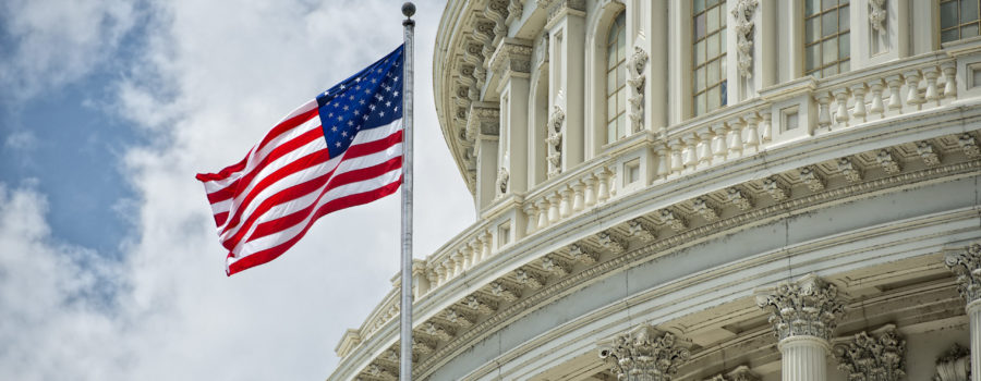 Washington DC Capitol dome detail with waving american flag | RM Warner Inernet Law Firm
